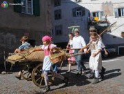 desmontegada 2012 images (1).jpg